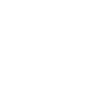 Icon_NetworkConnection