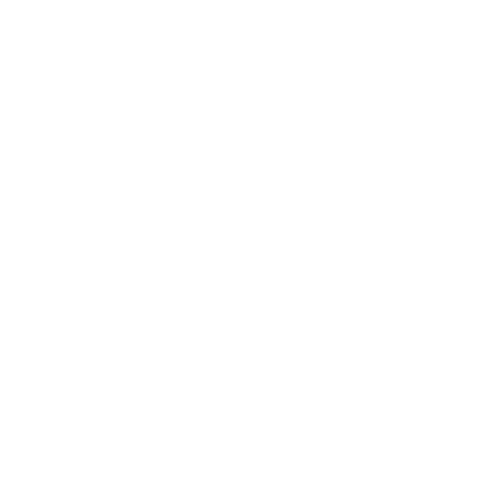 Icon_AboutUs_RightTechnology