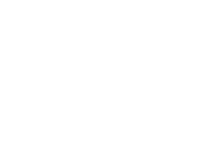VERANTUM LOGO white
